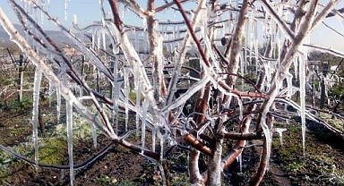 Kahramanmaraş'taki Çiftçilere 5.500 TL Ödeme Yapılacak!