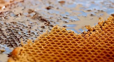 Meğer balı yanlış yiyormuşuz! Böyle tüketince faydası 10 kat artıyor