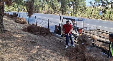 Parklar Temizleniyor, Doğa Yeniden Nefes Alıyor!