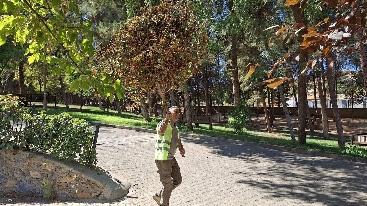 Parklar Temizleniyor, Doğa Yeniden Nefes Alıyor!