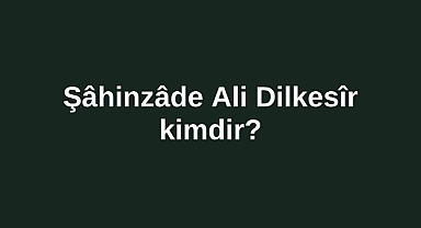 Şâhinzâde Ali Dilkesîr kimdir?