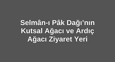 Selmân-ı Pâk Dağı’nın Kutsal Ağacı ve Ardıç Ağacı Ziyaret Yeri
