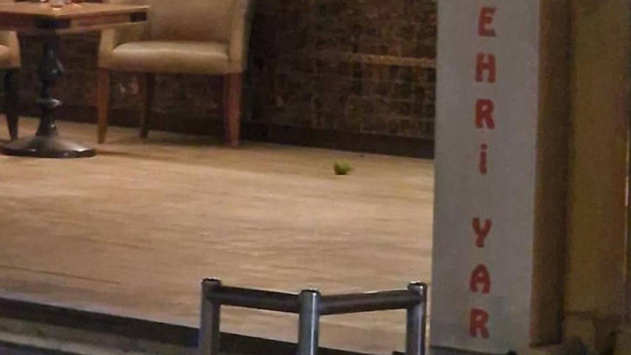 16 yaşındaki çocuk pastaneye el bombası attı!