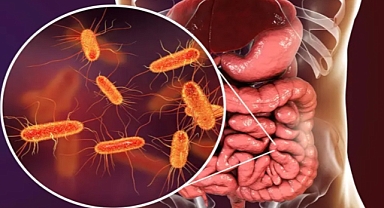 Çocuklar Risk Altında!