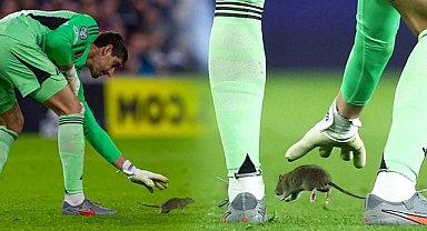 Dünya Kupası eleme maçında sahaya fare girdi!