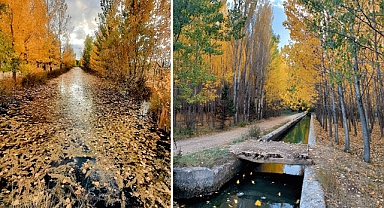 Göksun Altın Sarısına Büründü!