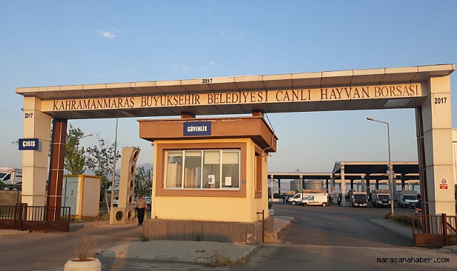 Kahramanmaraş Canlı Hayvan Borsası Yeniden Hizmete Giriyor!