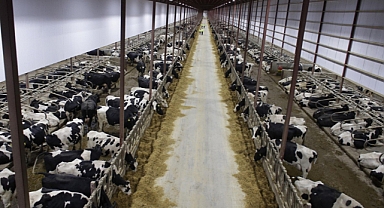 Kahramanmaraş’ta Besi OSB’nin İmar Planı yeniden onaylandı!