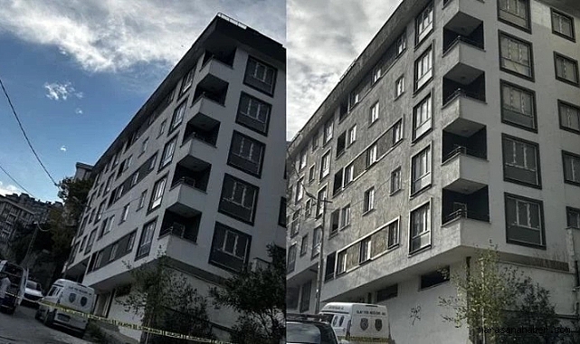 Korkunç olay! Temizliğe çağırıp cinsel istismarda bulundular...