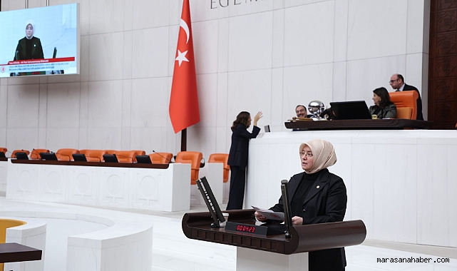 AK Partili Köksal'dan Meclis'te