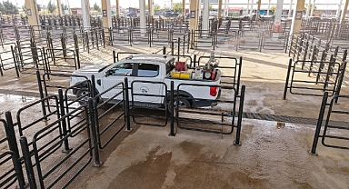 Büyükşehir’den Canlı Hayvan Pazarı’nda Halk Sağlığı İçin Kapsamlı Çalışma!