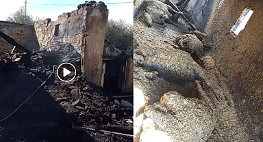 Kahramanmaraş Afşin'de Ahır Yangını: 6 Büyükbaş Hayvan Telef Oldu!