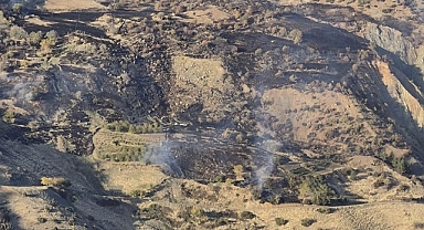 Kahramanmaraş Ekinözü’nde Orman Yangını Kontrol Altına Alındı!