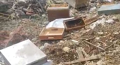 Kahramanmaraş’ta Arıcılara Büyük Zarar! Ayı Balların Peşine Düştü