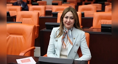 MHP'li Karakoç 