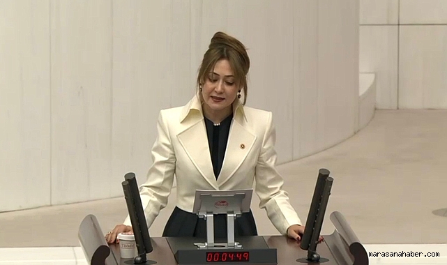 MHP'li Zuhal Karakoç: 