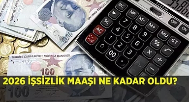 2026 İşsizlik Maaşı Netleşti! Ocak Ayında En Düşük ve En Yüksek İşsizlik Ödeneği Kaç TL Oldu?