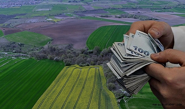 Kahramanmaraş’ta Belediye Taşınmazlarını Açık Artırma Usulüyle Kiraya Çıkarıyor!