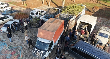 Kahramanmaraş'ta Bin 500 Üreticiye 193 Bin Adet Fidan Desteği!