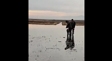 Kahramanmaraş'ta Kaçak Avcılara Geçit Yok: 5 Kişiye Ceza Kesildi