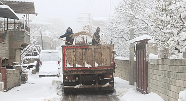 Kahramanmaraş’ta Kar Hafifliyor, Kuvvetli Don geliyor!