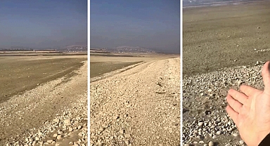 Kahramanmaraş'ta kuraklık alarmı! Sır Barajı'nda sular çekildi, susuz kalan balıklar öldü