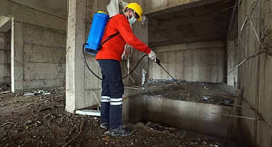 Kahramanmaraş’ta Vektör Zararlılara Karşı ilaçlama!