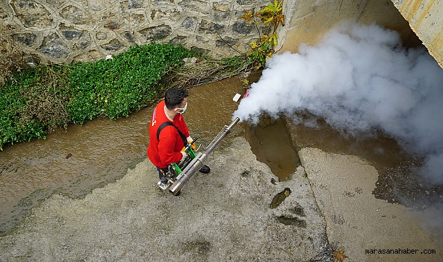 Kahramanmaraş’ta Vektör Zararlılara Karşı ilaçlama!
