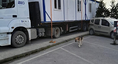 Kahramanmaraşlı işçi Depremde verilen Konteyner yüzünden İcralık oldu!