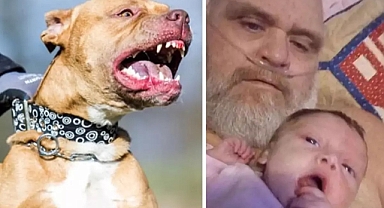 Pitbull dehşeti! Dede ve 3 aylık torununu öldü!