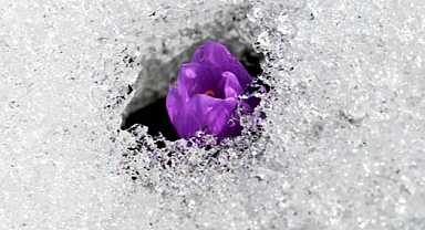 2026 Cemre Düşme Takvimi: İlk Cemre Ne Zaman Düşecek?