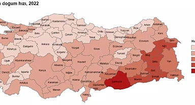 Doğurganlık Alarm Veriyor: Nüfus Düşüşü Türkiye İçin Kritik Sürece Giriyor