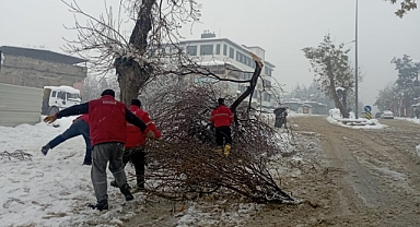 Kahramanmaraş’ta ağaçlar kırıldı Belediye kaldırdı!