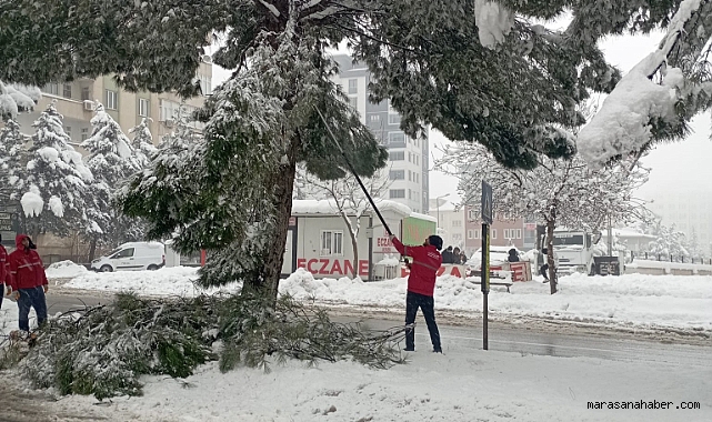 Kahramanmaraş’ta ağaçlar kırıldı Belediye kaldırdı!