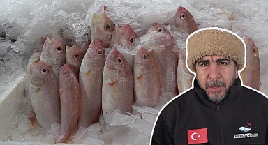 Kahramanmaraş'ta kar yağışı balığa talebi artırdı! Vatandaşlar mangalda balığa yöneldi