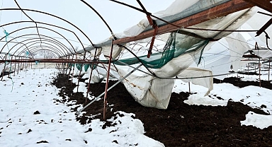 Kahramanmaraş'ta Yoğun Kar Yağışı Seraları Vurdu: Üreticiler Zor Durumda