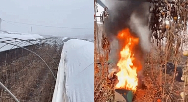 Kahramanmaraş Türkoğlu’nda Seraları don vurdu!