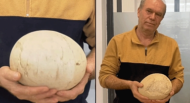 Kahramanmaraş yaklaşık 40 Milyon Yıllık yumurta bulundu!