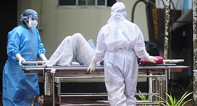 Nipah Virüsü Nedir ve Nasıl Bulaşır? DSÖ'den Korkutan 