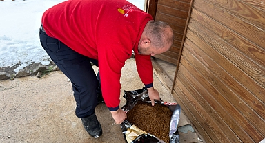 Soğuk Havada Büyükşehir’den sokak hayvanlarına şefkat eli!