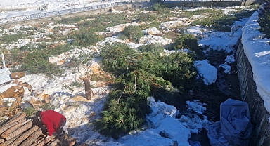 Çağlayancerit'te Hastane bahçesinde ağaç kıyımı! Yazıktır, Günahtır!