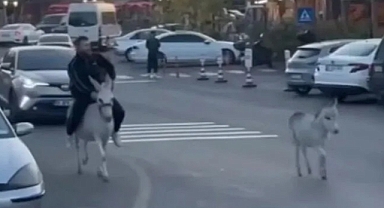 Ehliyeti Alınınca Çözümü Eşekte Buldu: Kurye Siparişe Böyle Gitti