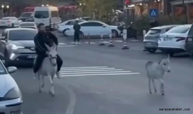 Ehliyeti Alınınca Çözümü Eşekte Buldu: Kurye Siparişe Böyle Gitti