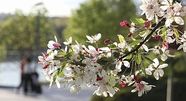 İkinci Cemre Nereye Düşecek? 2026 Cemre Tarihleri Belli Oldu