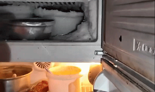 Kahramanmaraş'ta ekmek fırınında buzluktaki hamam böceği şaşkına uğrattı!