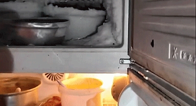 Kahramanmaraş'ta ekmek fırınında buzluktaki hamam böceği şaşkına uğrattı!