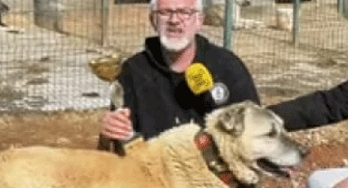 Kahramanmaraş’tan Dünya’ya Kangal ihracatı: Bir koyuna sattığı Kangal’ı 45 koyuna satın aldı!