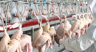 Lezita Rotayı Maraş’a Kırdı! 130 Milyon Avroluk Dev Tesis Yolda