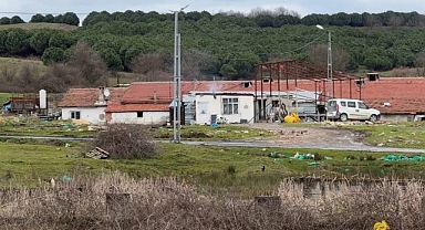 Tartıştığı kişinin boynunu elektrikli testere ile kesti!