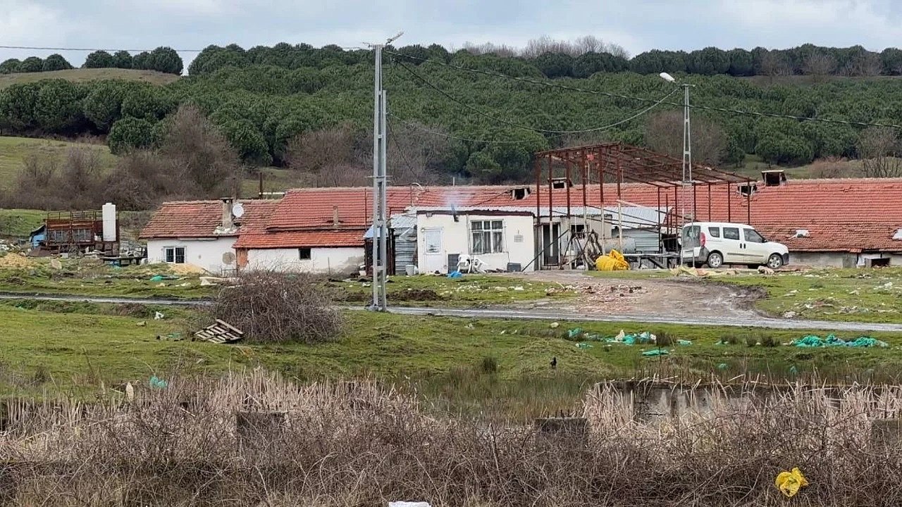 Tartıştığı kişinin boynunu elektrikli testere ile kesti!